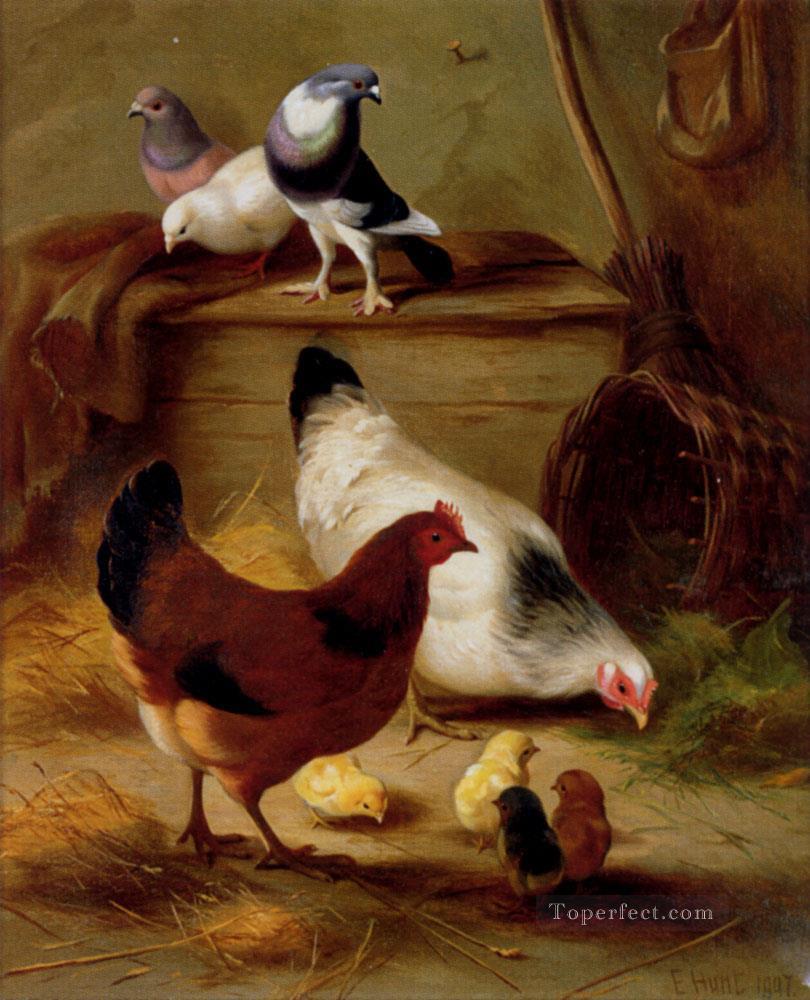 Tauben und Hühner Bauernhof Tiere Edgar Hunt Ölgemälde